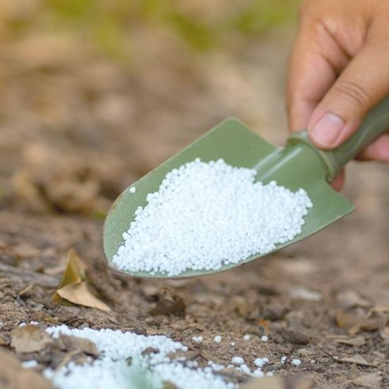 Nawóz mocznik – na co stosować i kiedy go używać?