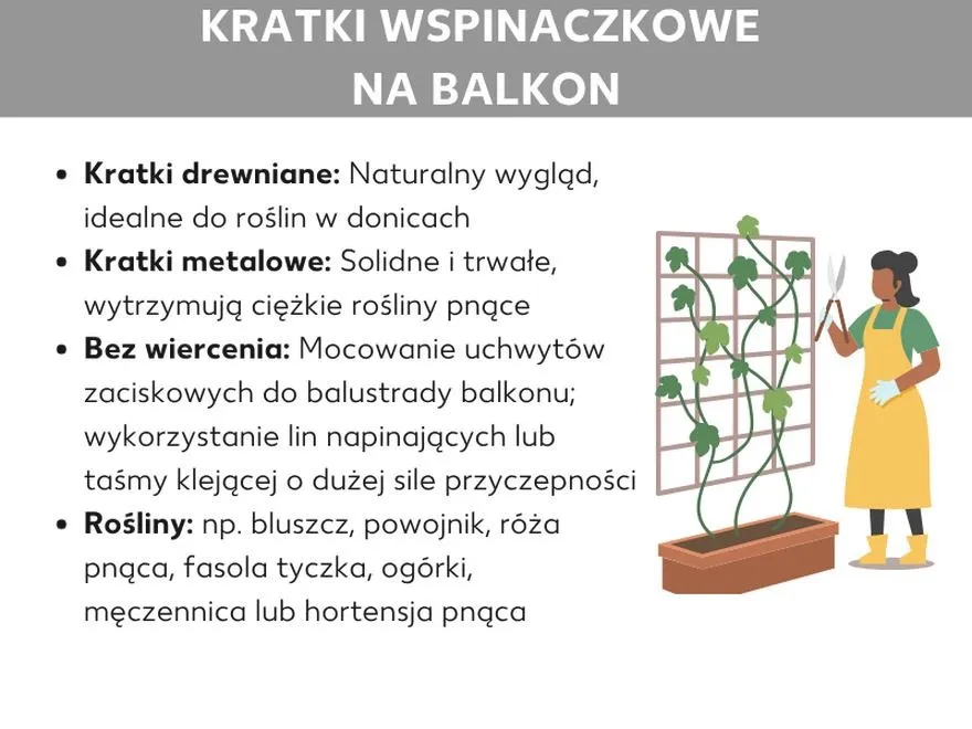 Ogórki na balkonie: jak uzyskać obfite plony w skrzyniach