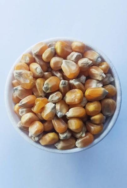 Dieta drobiu