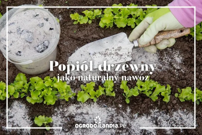 Ekologiczny nawóz do ogrodu