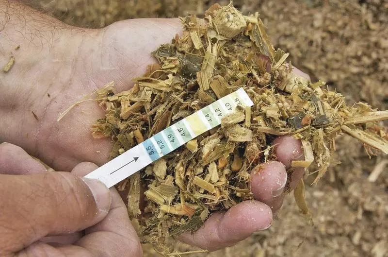 Fermentacja kukurydzy