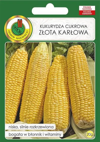 Idealne stanowisko dla kukurydzy