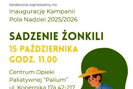Kwitnienie żonkili