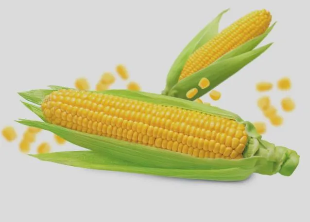 Leading corn producers
