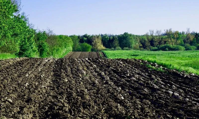 Metody rekultywacji