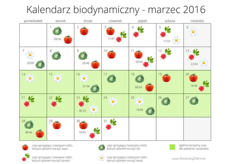 Najlepsze terminy siewu