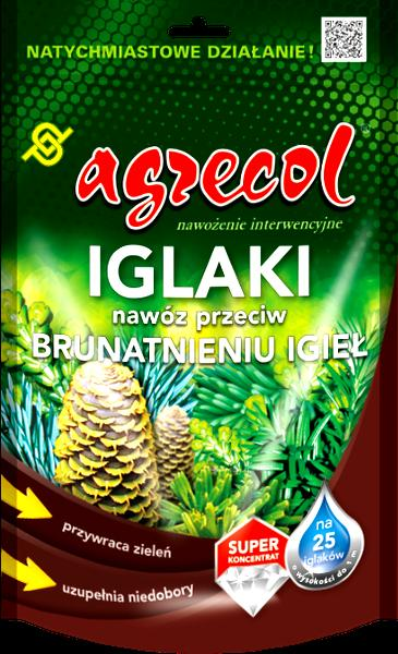 Nawożenie iglaków