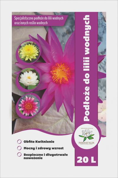 Nawożenie lilii