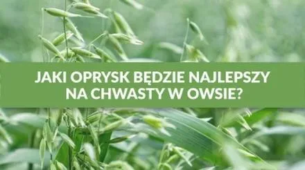 Ochrona przed chwastami