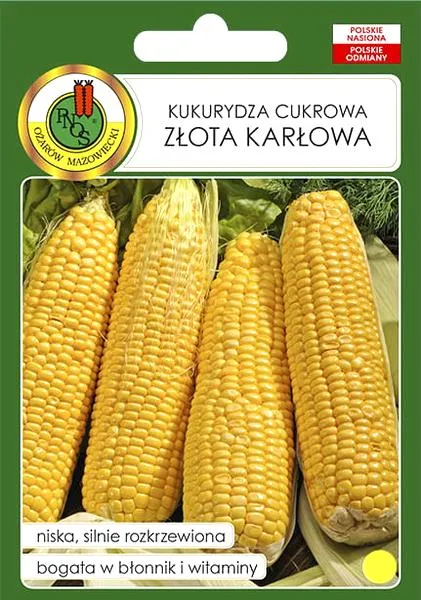 Pielęgnacja kukurydzy cukrowej