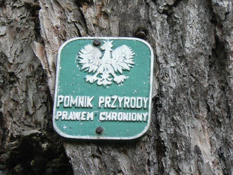 Pomniki przyrody