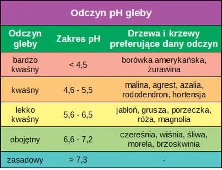 Próbki gleby