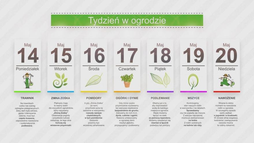 Sezonowe prace w ogrodzie