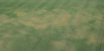 Suszowe dla rolników 2026
