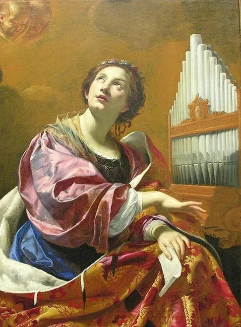 Świerk biały Cecilia