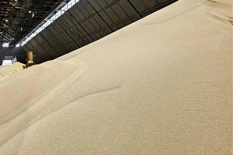 Termin składania wniosków